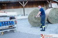 _2024-06-12 Übung Heuwehr Geiersberg-0003